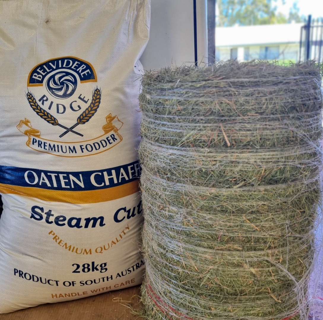 25kg bags of Lucerne Chaff for... - Sharpes Grain and Seed | Facebook