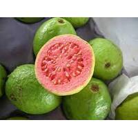 Strawberry Guava 