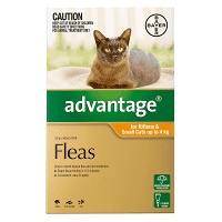 Advantage for kittens Small Cats up to 4Kg