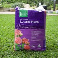 Lucerne Mulch Large LUC18