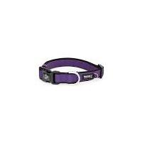 Premium Sport Dog Collar with Neoprene - XL - Purple