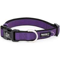 Premium Sport Dog Collar with Neoprene - M - Purple