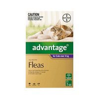 Bayer Advantage for cats over 4kg