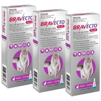 Bravecto Plus Spot On For Large Cats 6.25 - 12.5kg  Pack