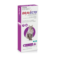 Bravecto Spot On For Cats Purple 6.25-12.5kg 2 Pack