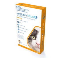 Revolution Plus For Medium Cats 2.6-5kg 6 Pack