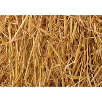 Wheaten Straw 8x4x3