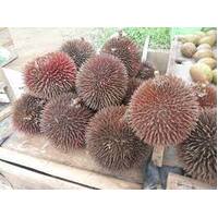 Durian Red or Tutong