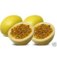 Passionfruit Panama Yellow