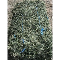 Prime Lucerne Hay Small SQ