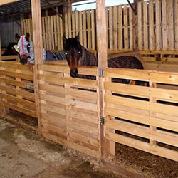 Horse Stables and Shelters