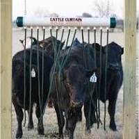 Cattle Care